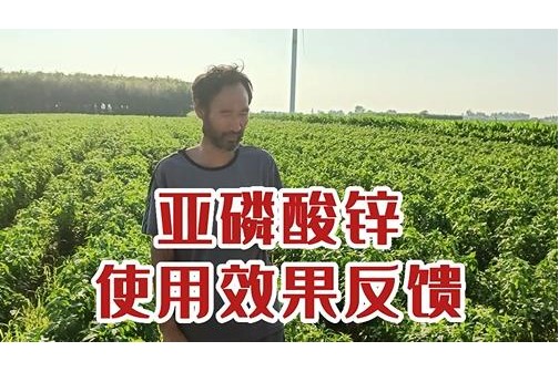 亚磷酸锌使用效果反馈（三） ()